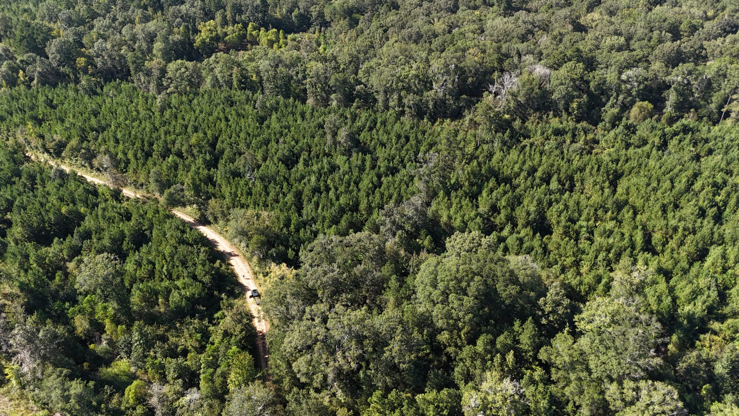 Timberland for Sale Union Parish – Arrant Place