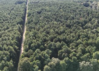 Small Hunting Tract for Sale in Marion, LA – Mclemore Tract