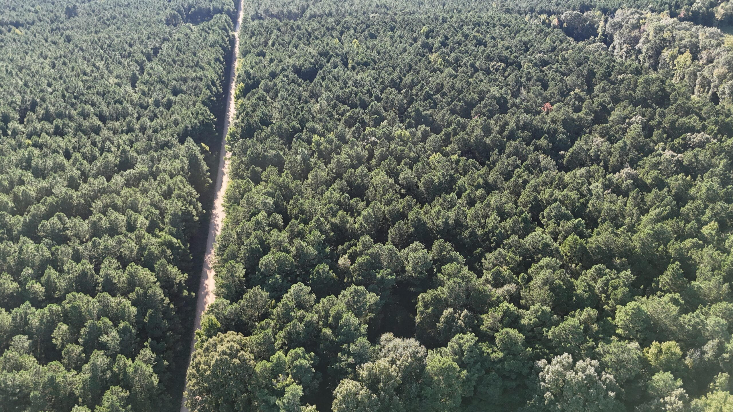 Small Hunting Tract for Sale in Marion, LA – Mclemore Tract