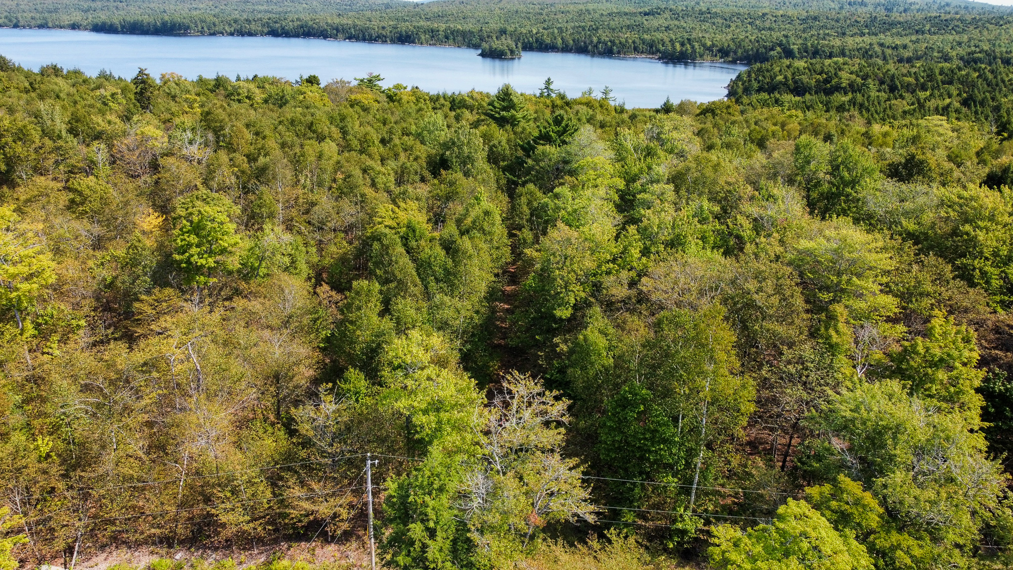Unique 20 Acre Lakefront Parcel on Cold Stream Pond
