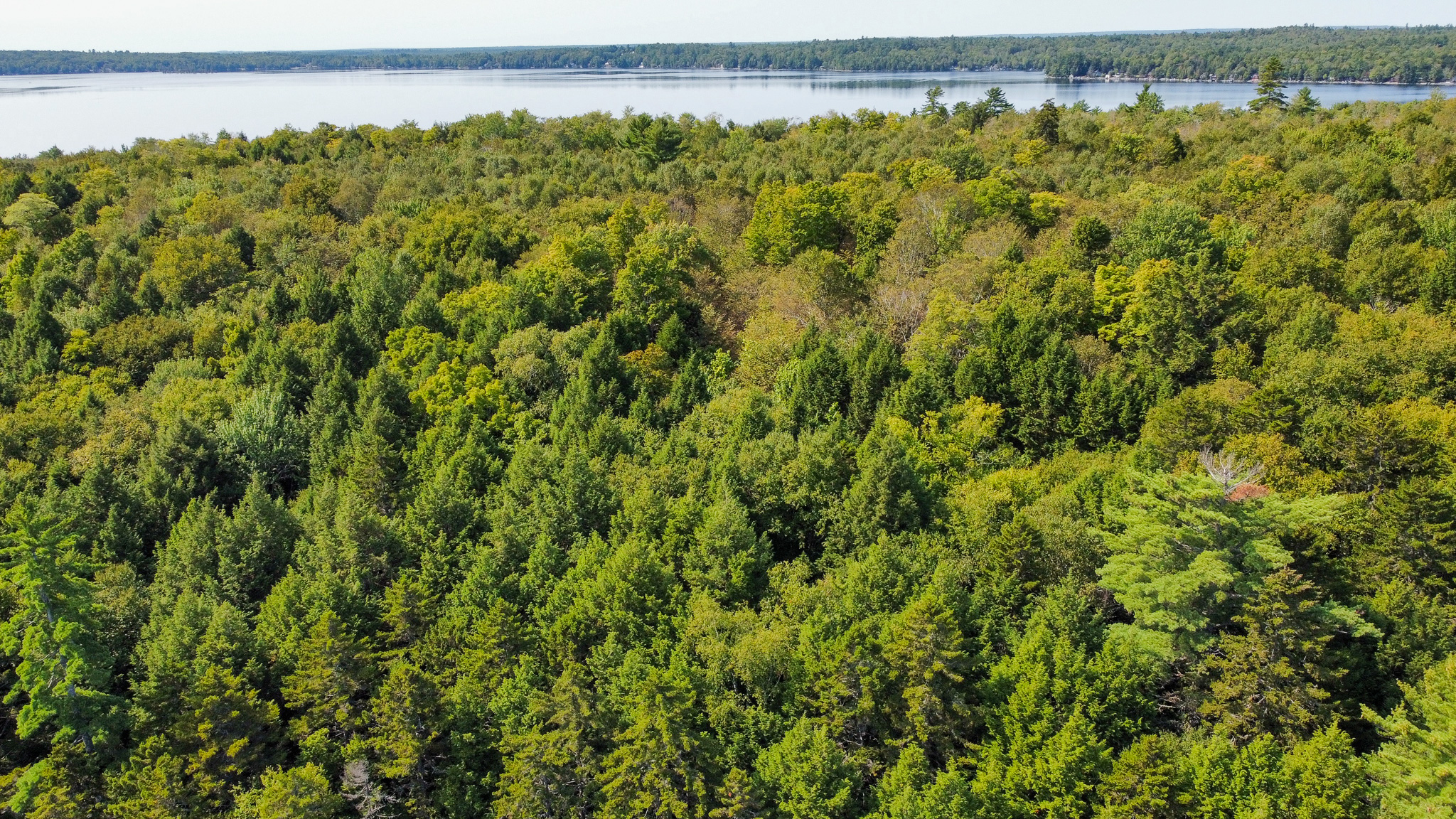 Unique 20 Acre Lakefront Parcel on Cold Stream Pond
