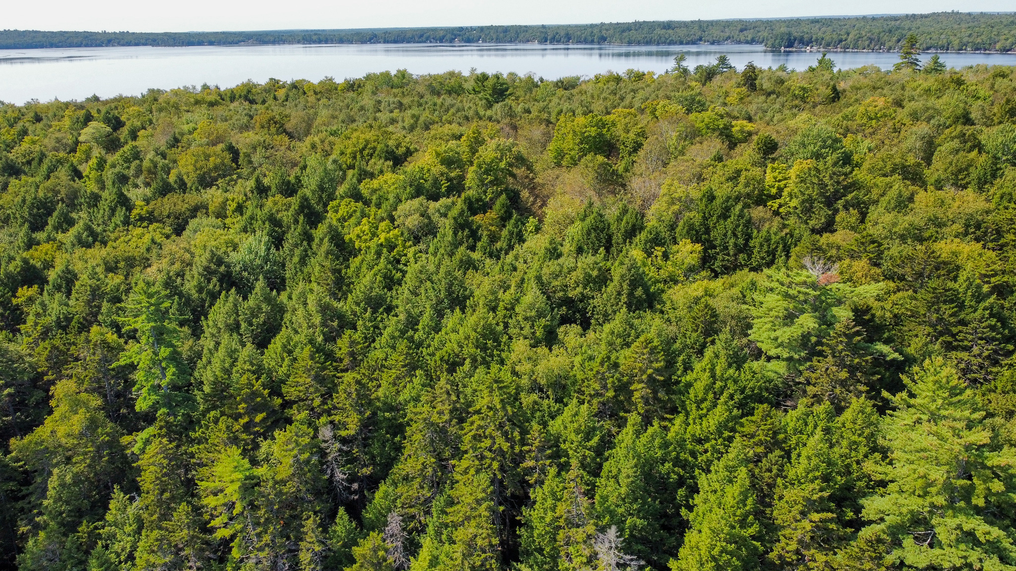Unique 20 Acre Lakefront Parcel on Cold Stream Pond