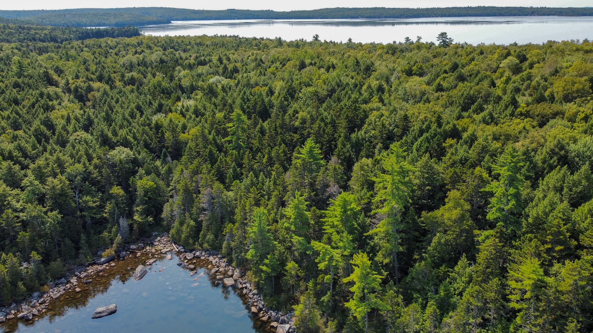 Unique 20 Acre Lakefront Parcel on Cold Stream Pond