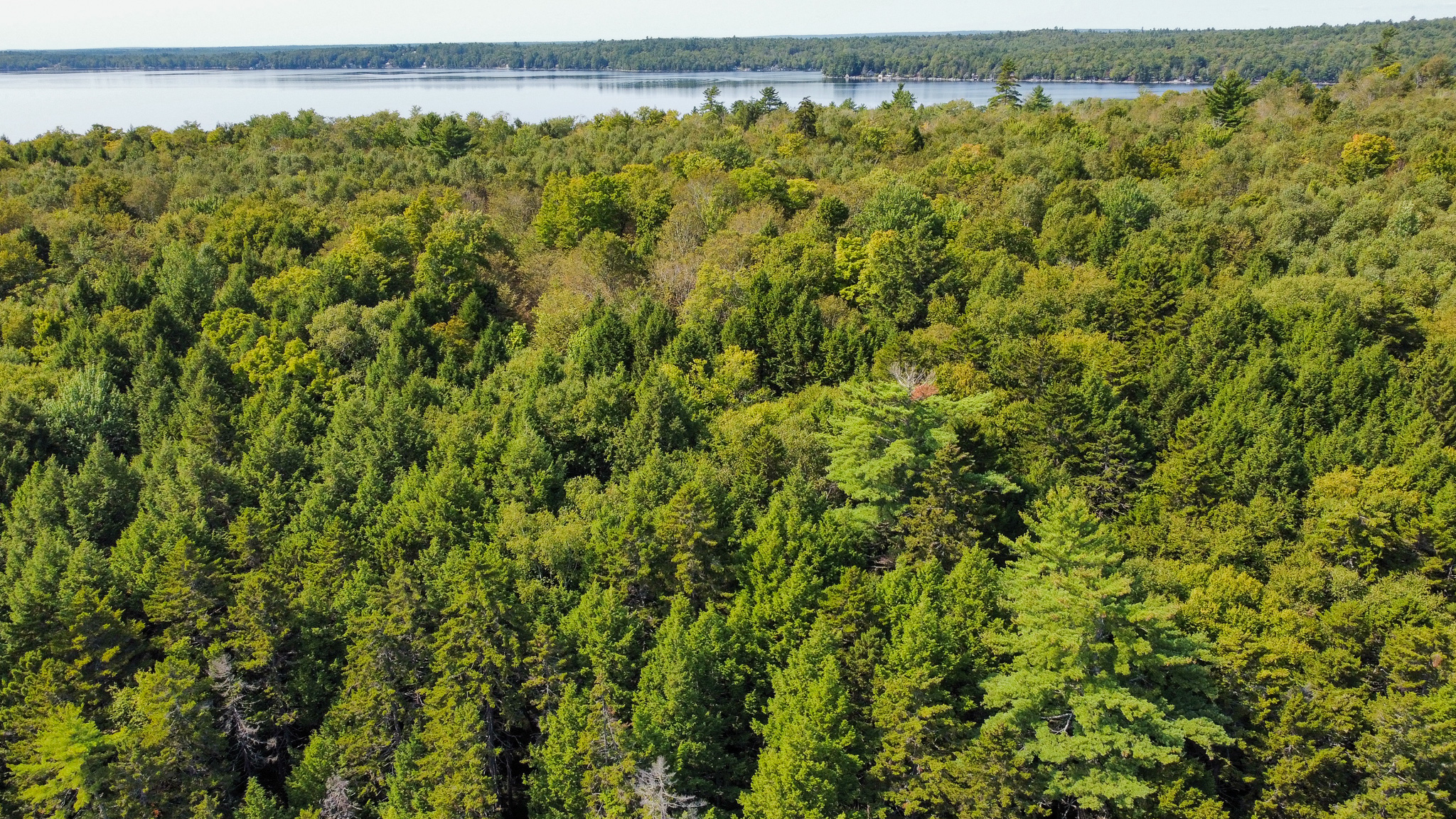 Unique 20 Acre Lakefront Parcel on Cold Stream Pond