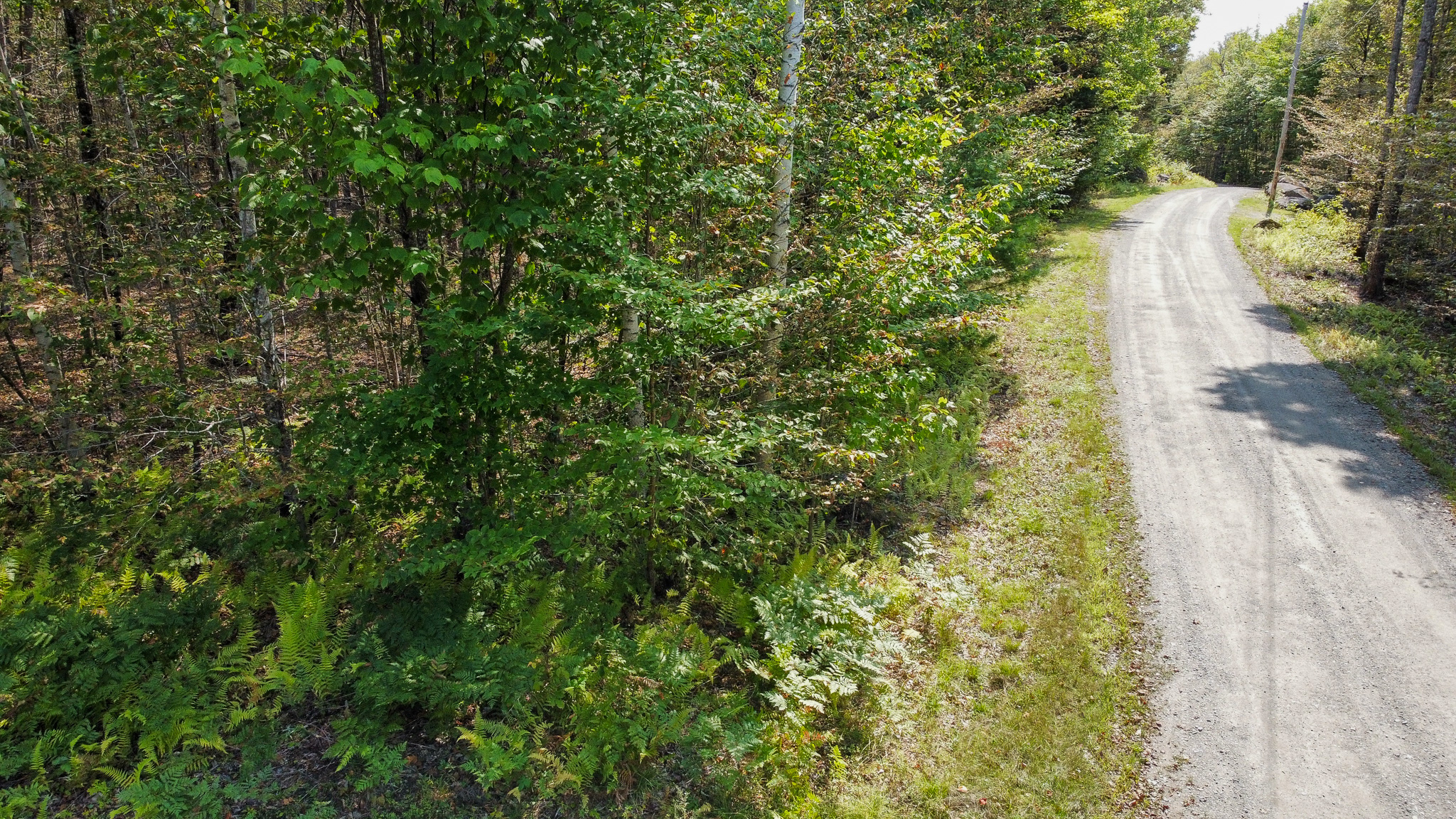 Unique 20 Acre Lakefront Parcel on Cold Stream Pond