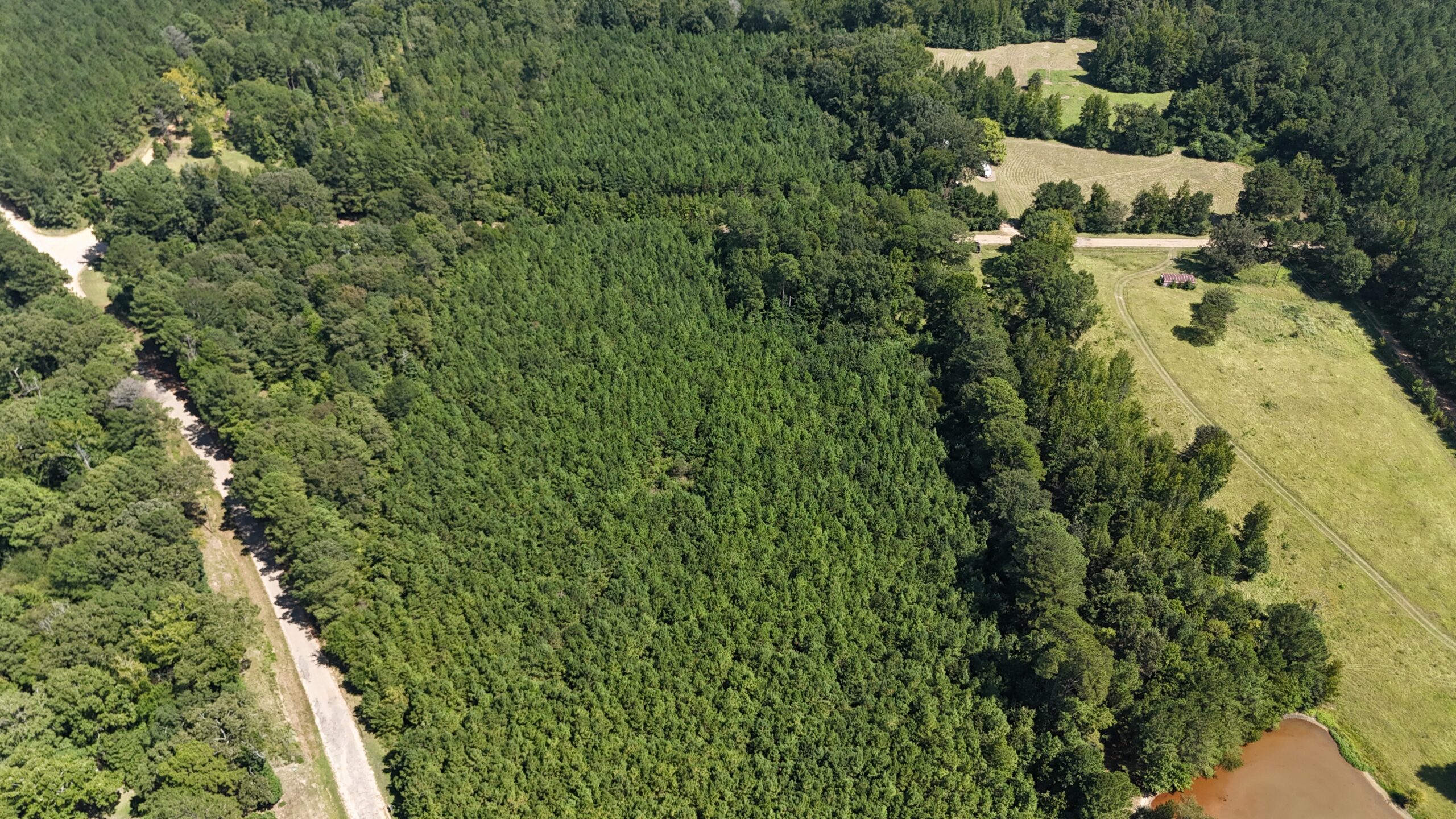 16 Acres Timberland for Sale in Union Parish – McBroom Tract