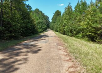 16 Acres Timberland for Sale in Union Parish – McBroom Tract