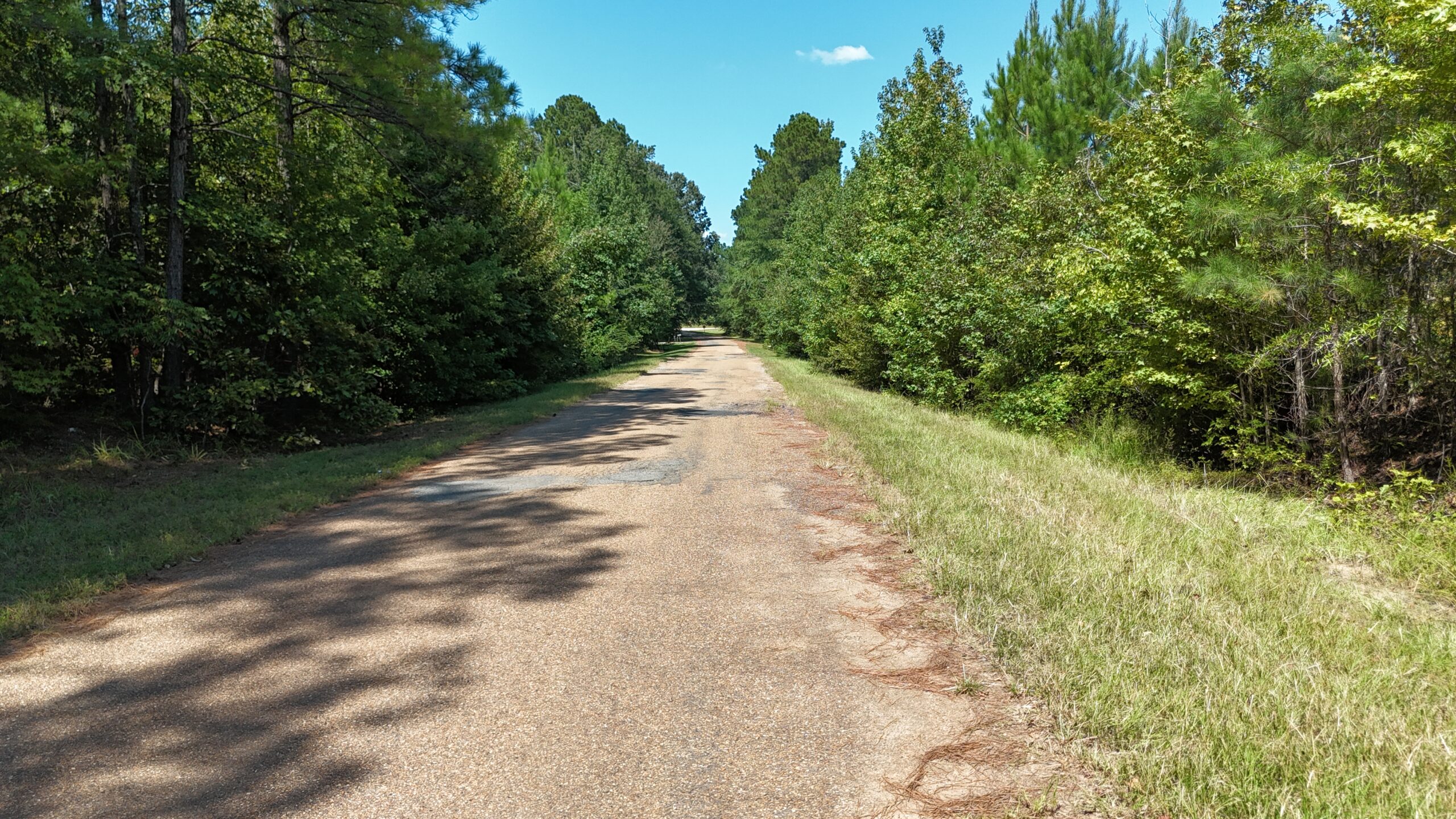 16 Acres Timberland for Sale in Union Parish – McBroom Tract