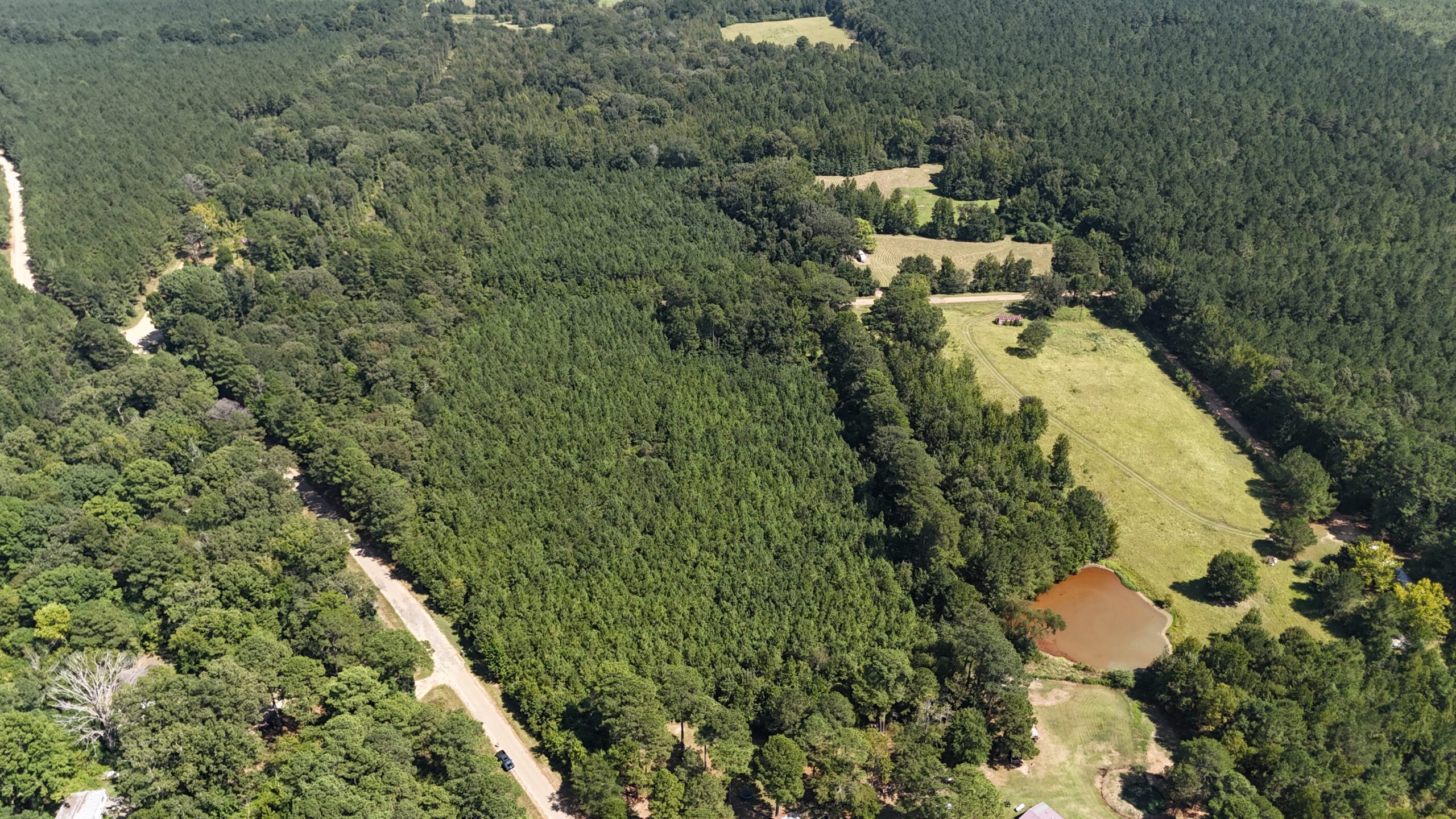 16 Acres Timberland for Sale in Union Parish – McBroom Tract