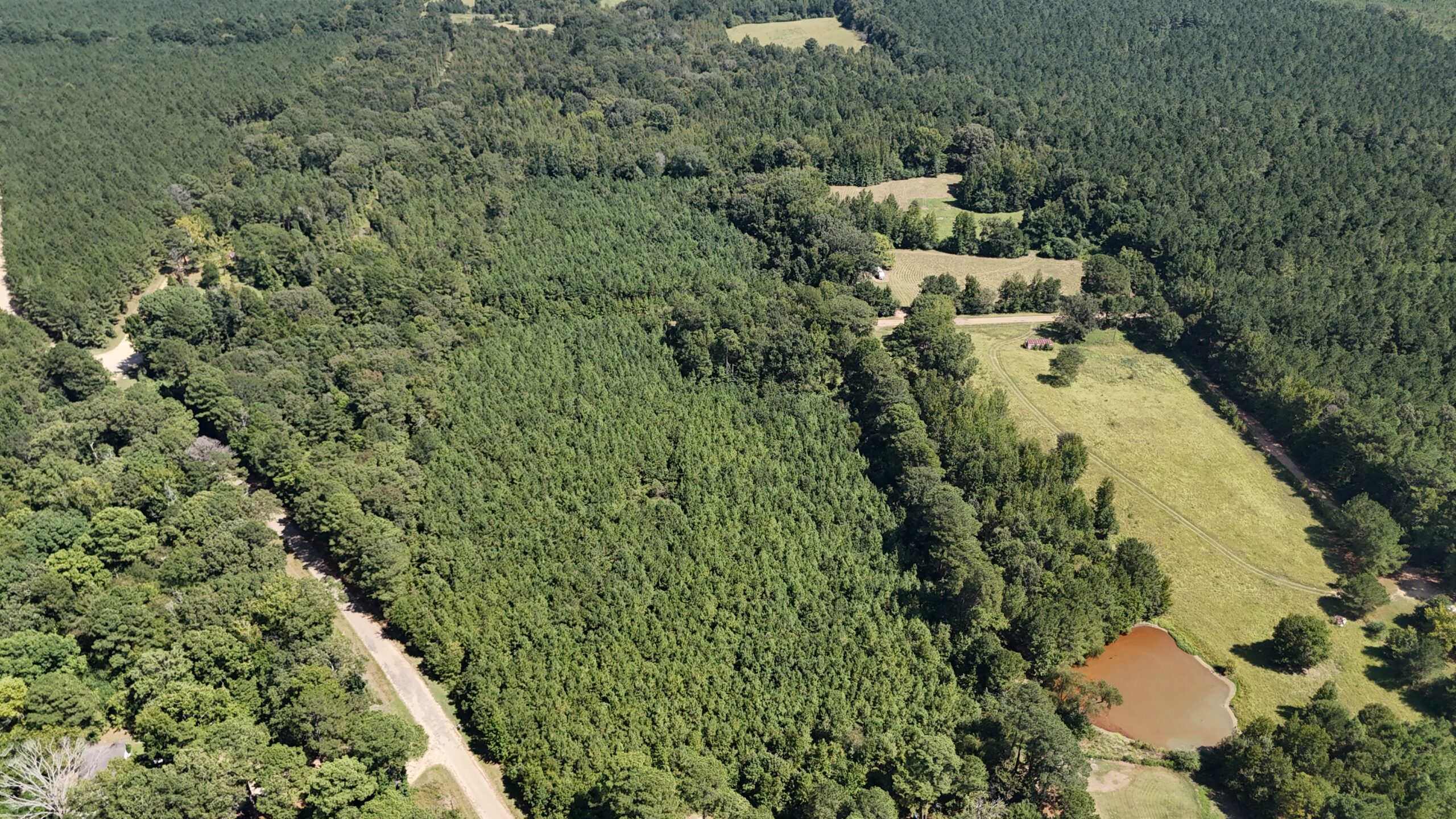 16 Acres Timberland for Sale in Union Parish – McBroom Tract