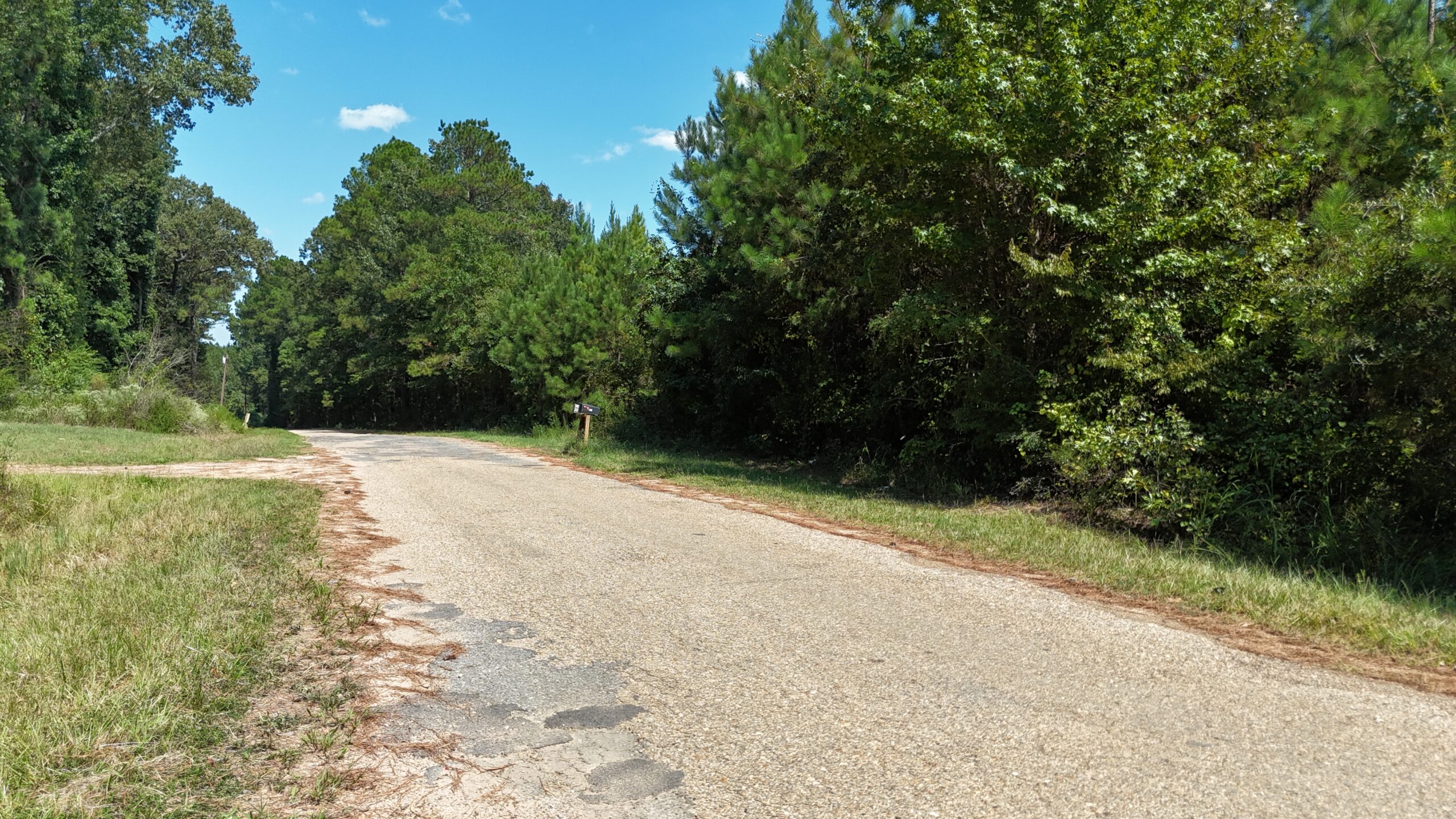 16 Acres Timberland for Sale in Union Parish – McBroom Tract