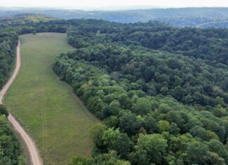 LAND FOR SALE IN OZARK MOUNTAINS OF ARKANSAS
