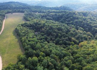 LAND FOR SALE IN OZARK MOUNTAINS OF ARKANSAS