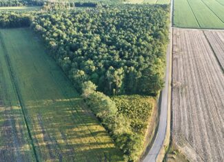 25 Acres Timber & Hunting Land for Sale in NC