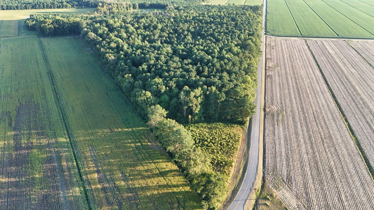 25 Acres Timber & Hunting Land for Sale in NC