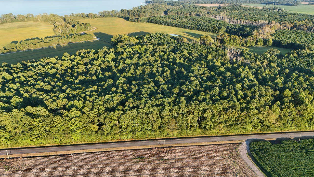 25 Acres Timber & Hunting Land for Sale in NC