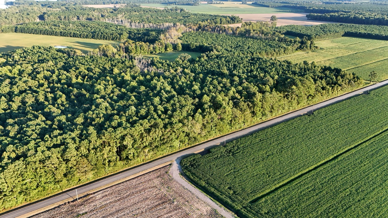 25 Acres Timber & Hunting Land for Sale in NC