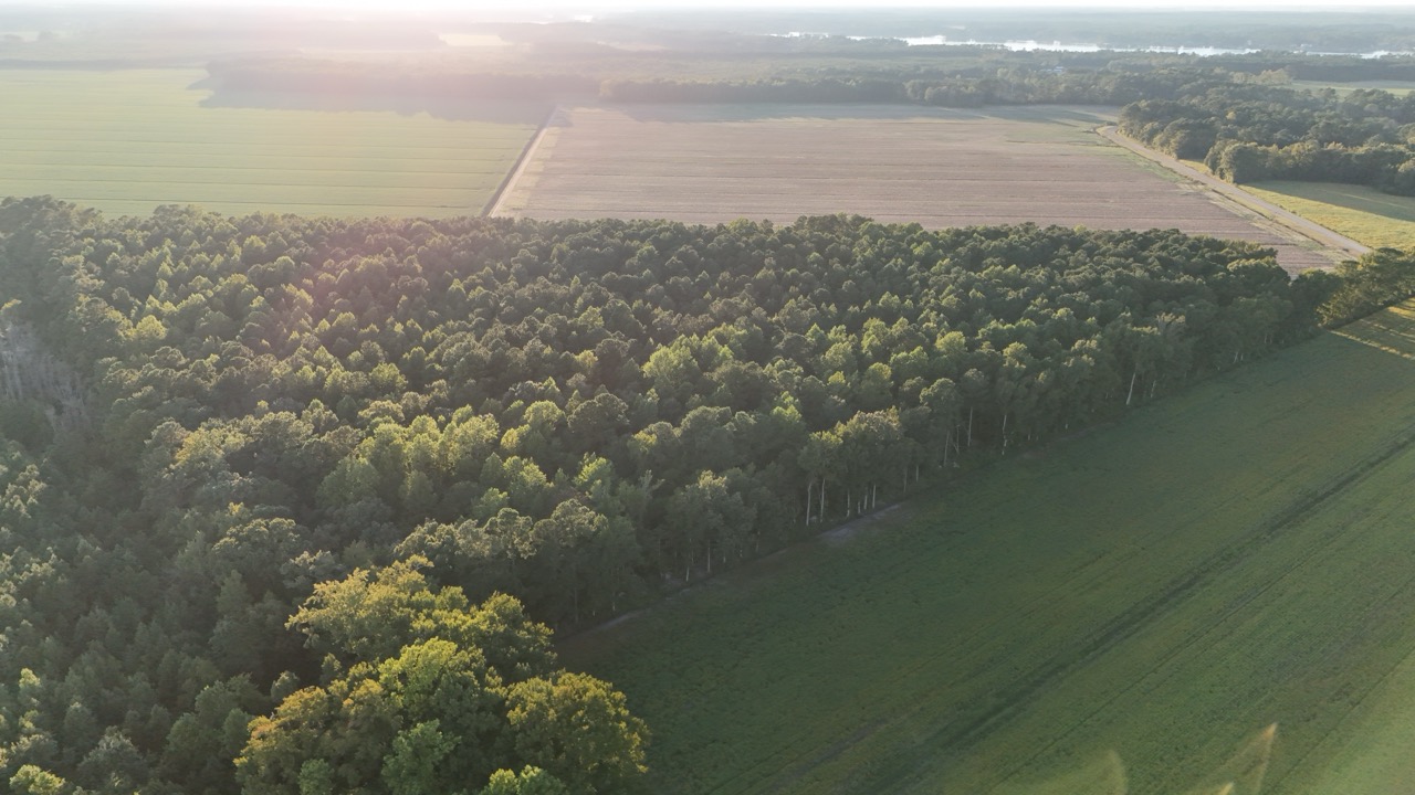 25 Acres Timber & Hunting Land for Sale in NC