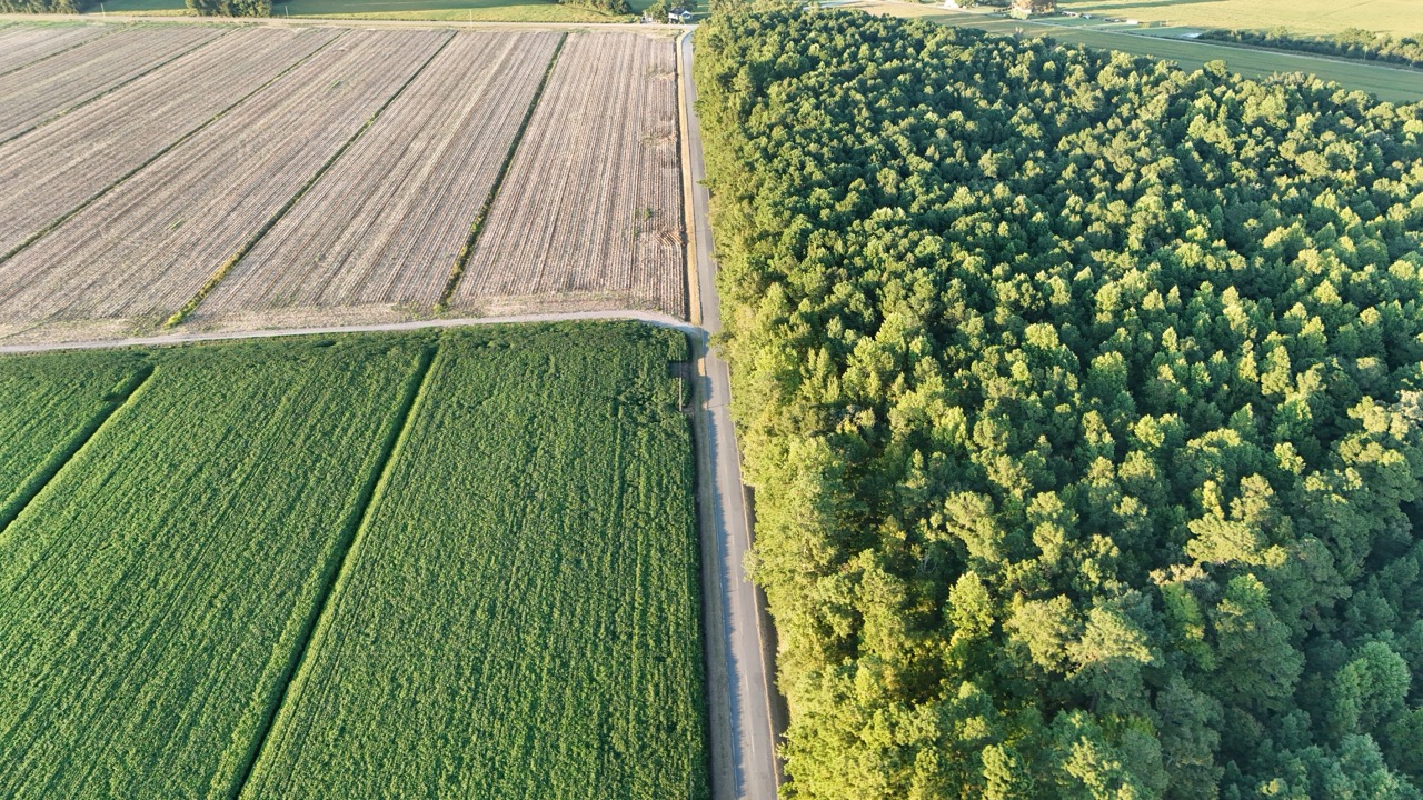 25 Acres Timber & Hunting Land for Sale in NC