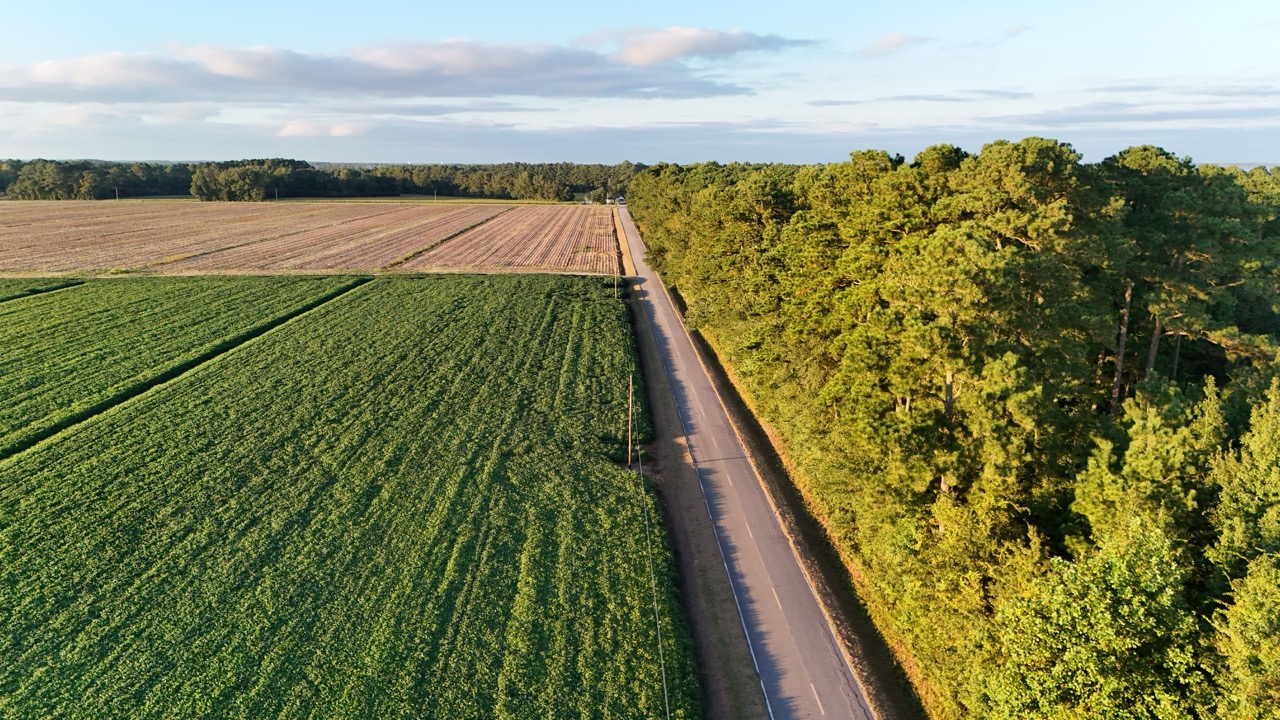 25 Acres Timber & Hunting Land for Sale in NC