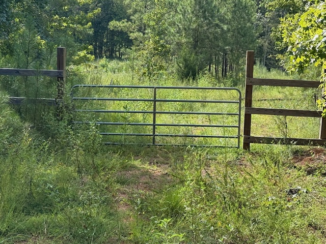 Thomaston Family Hunting and Homesite