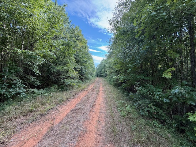 Thomaston Family Hunting and Homesite
