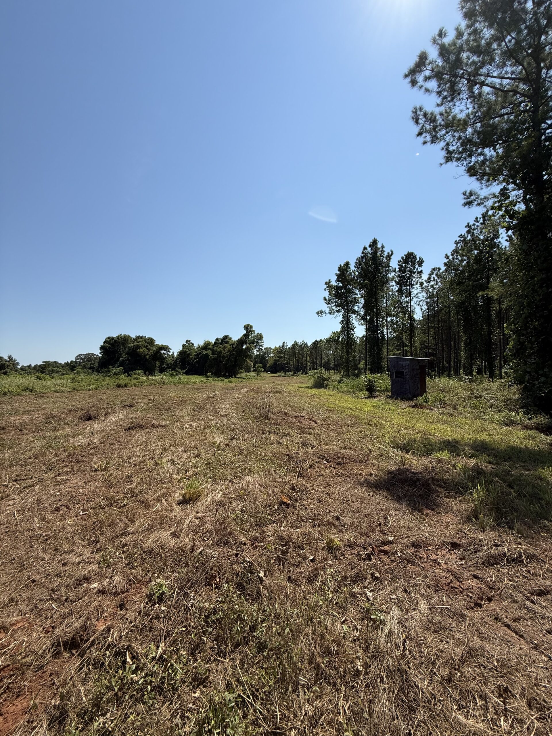 389 Acres Hunting & Timberland with Cabin in Autauga County, Alabama