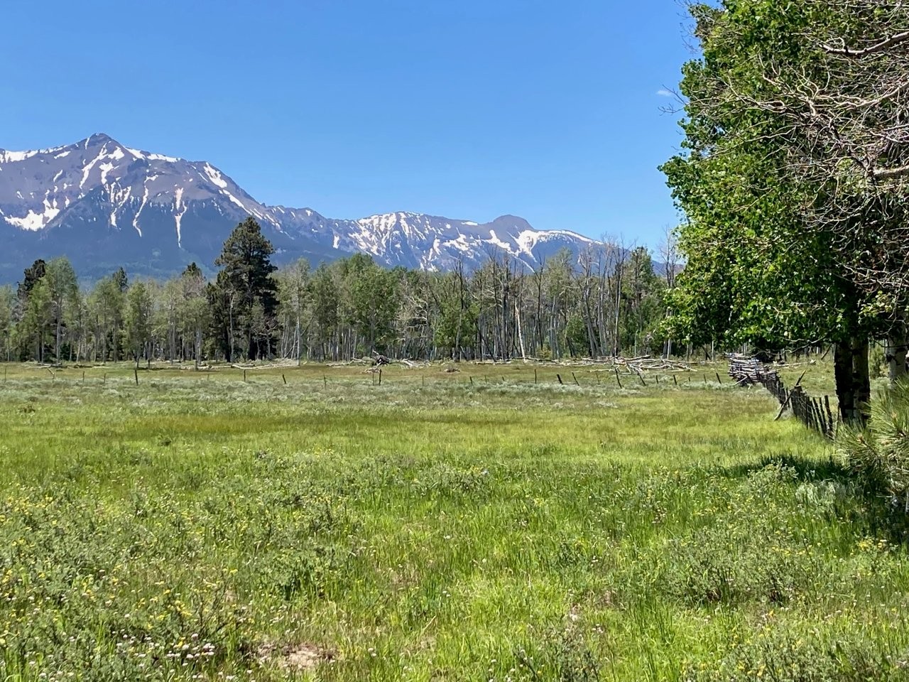 161 Acres San Juan Mountain Land for Sale in Placerville, CO