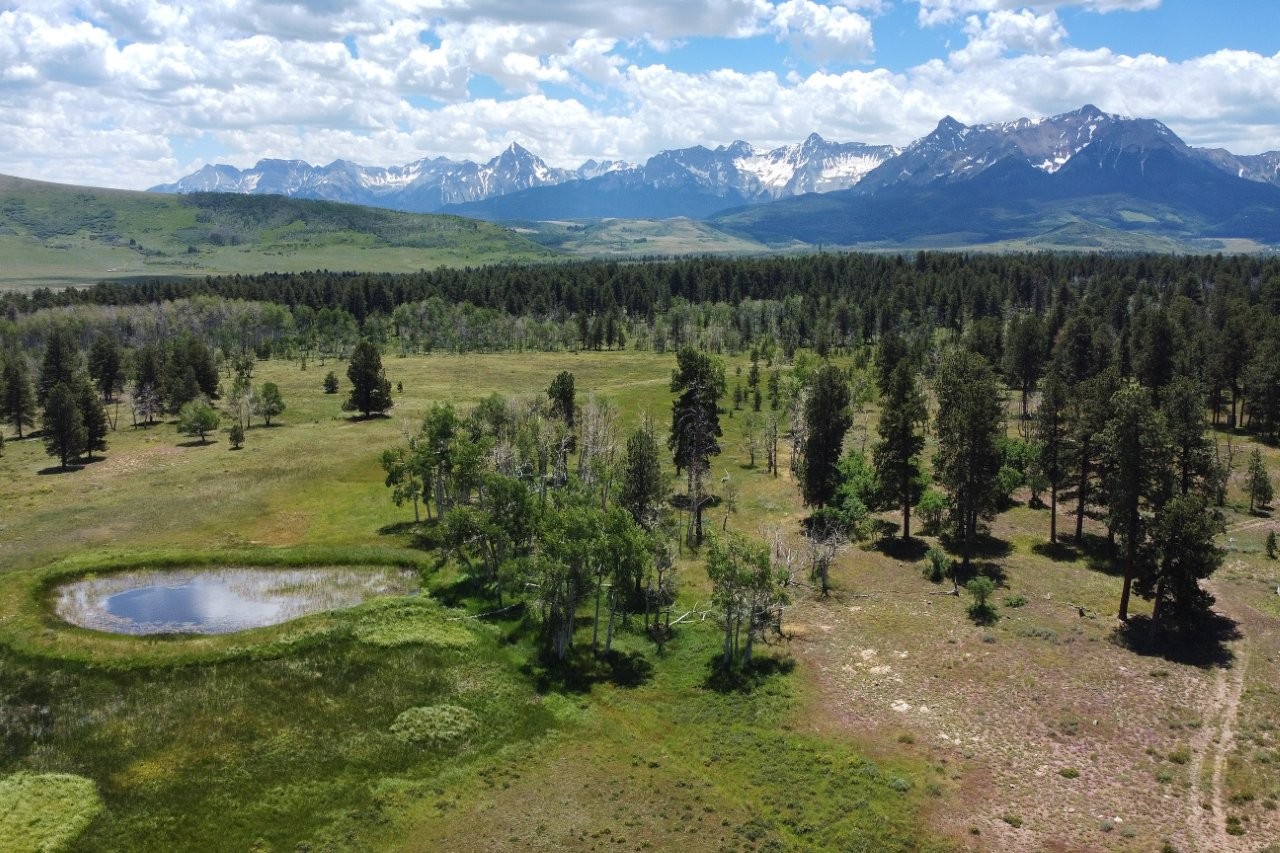 161 Acres San Juan Mountain Land for Sale in Placerville, CO