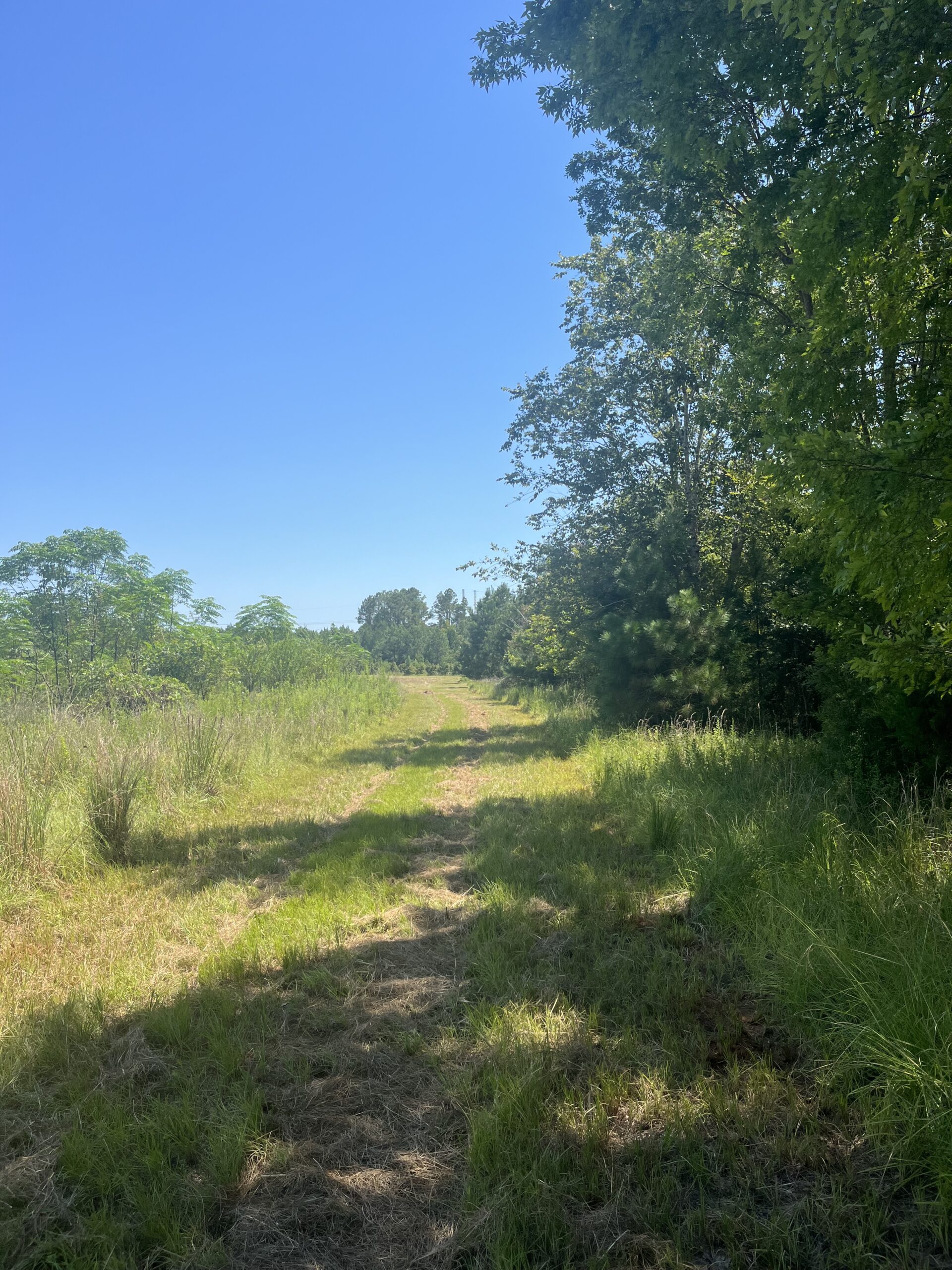 389 Acres Hunting & Timberland with Cabin in Autauga County, Alabama