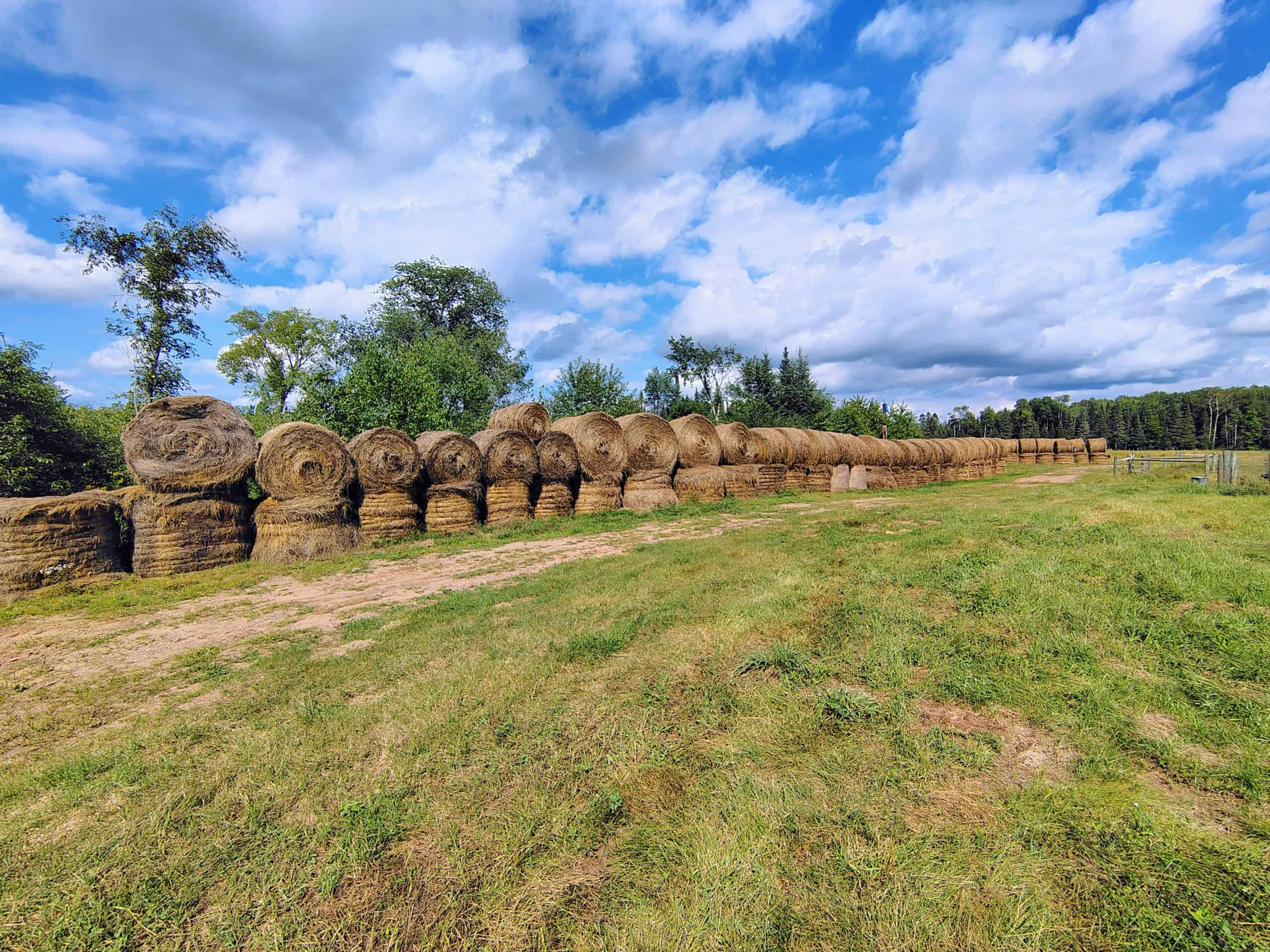 Country Home with Acreage for Sale in Glidden, WI