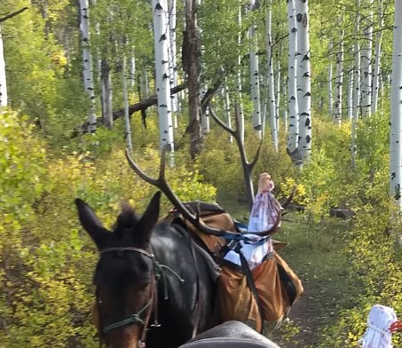 Western Colorado Outfitting Business for Sale (No deeded property)