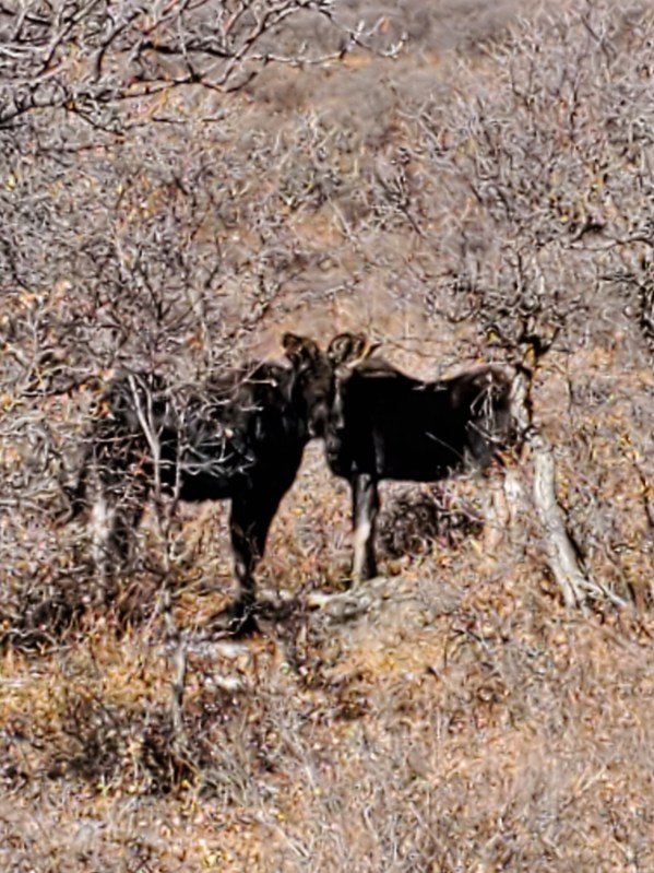 Western Colorado Outfitting Business for Sale (No deeded property)