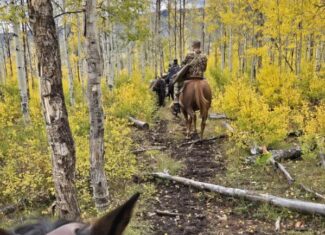 Western Colorado Outfitting Business for Sale (No deeded property)