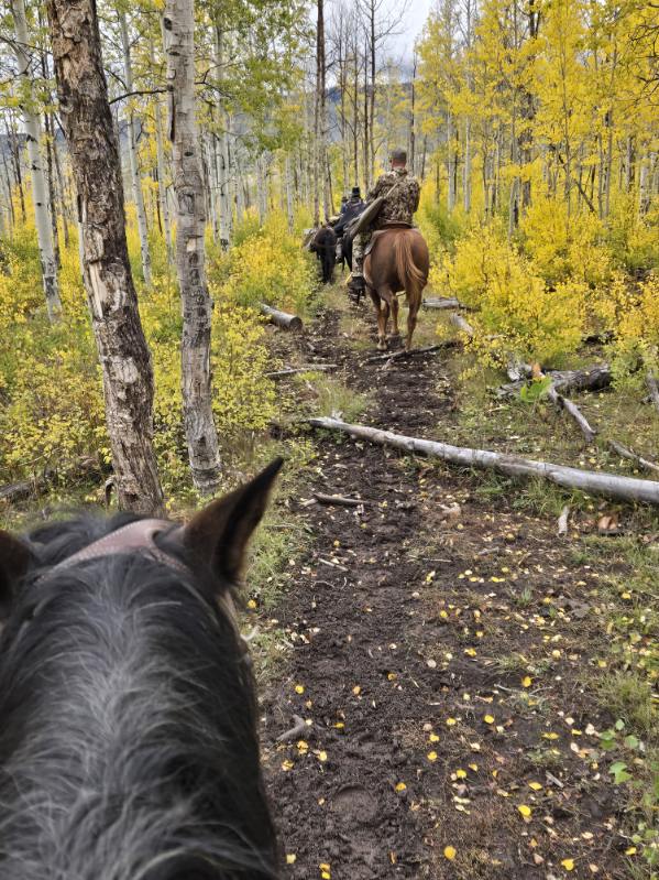 Western Colorado Outfitting Business for Sale (No deeded property)
