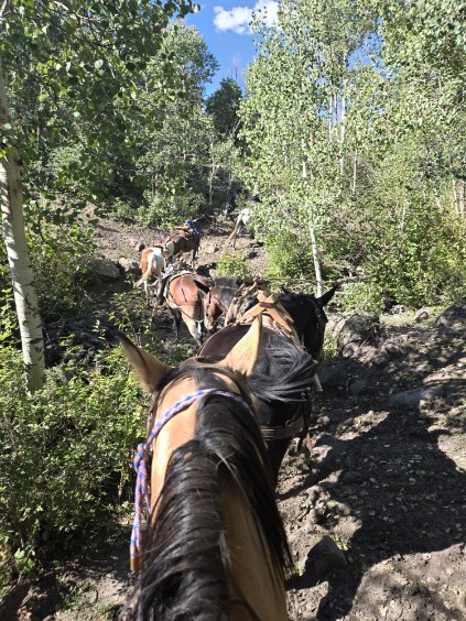 Western Colorado Outfitting Business for Sale (No deeded property)