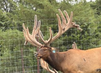 NEBRASKA MERIDIAN CANYON HUNTING & RANCH LAND