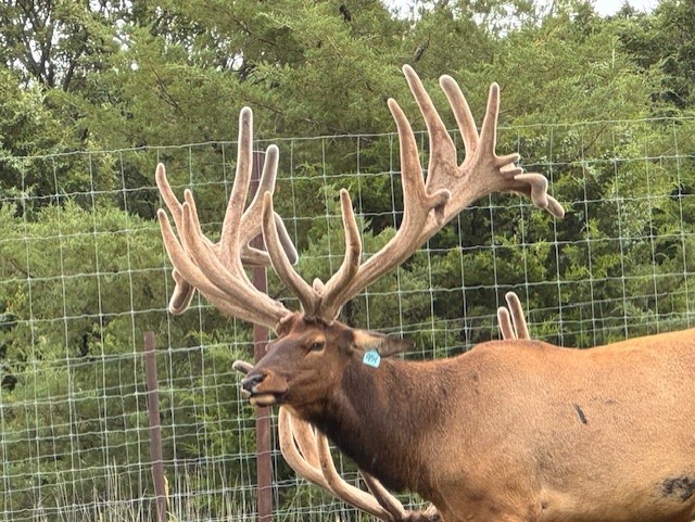 NEBRASKA MERIDIAN CANYON HUNTING & RANCH LAND