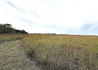 Stafford County KS Prime Hunting Property