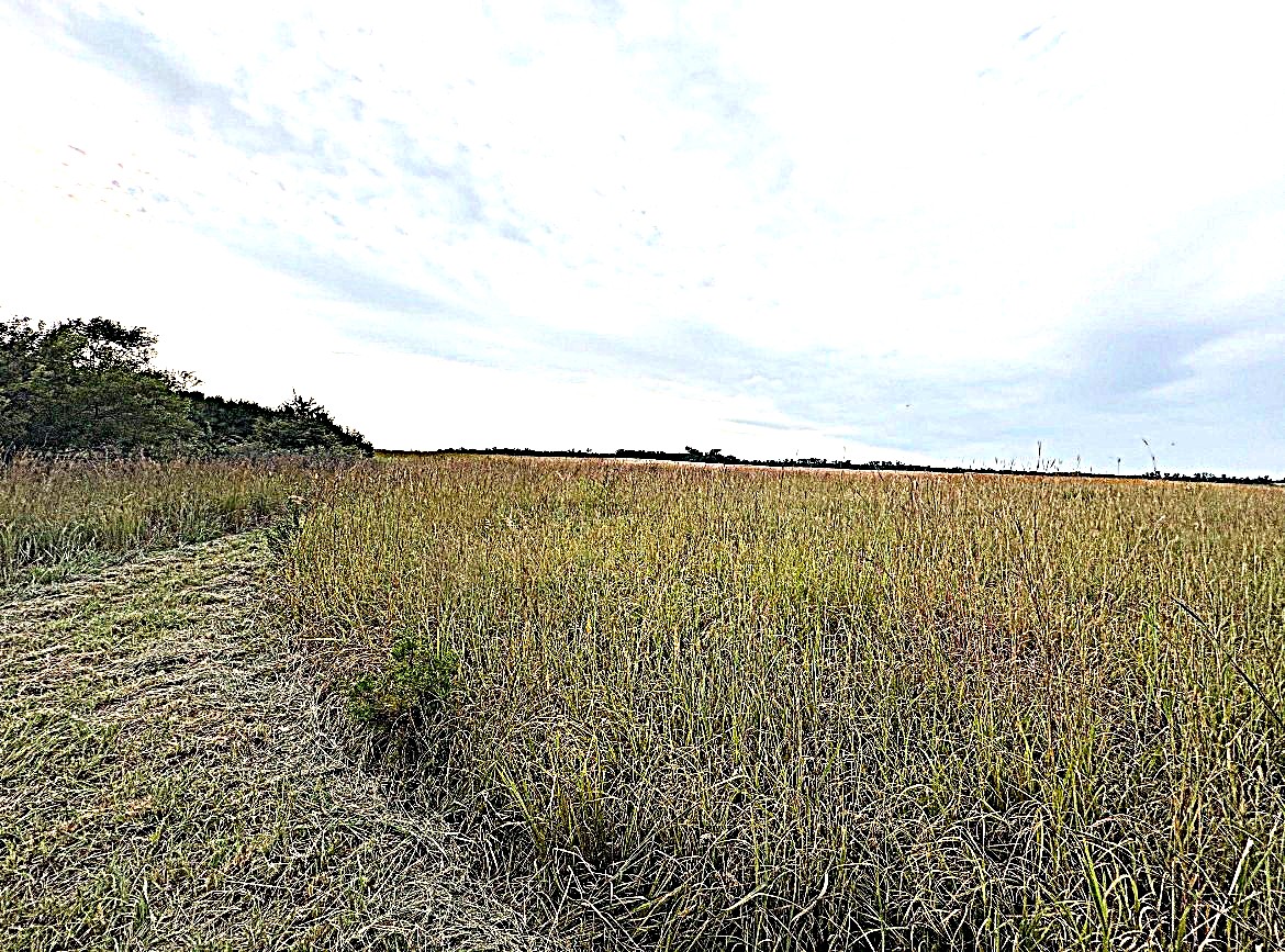 Stafford County KS Prime Hunting Property