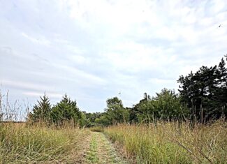 Stafford County KS Prime Hunting Property