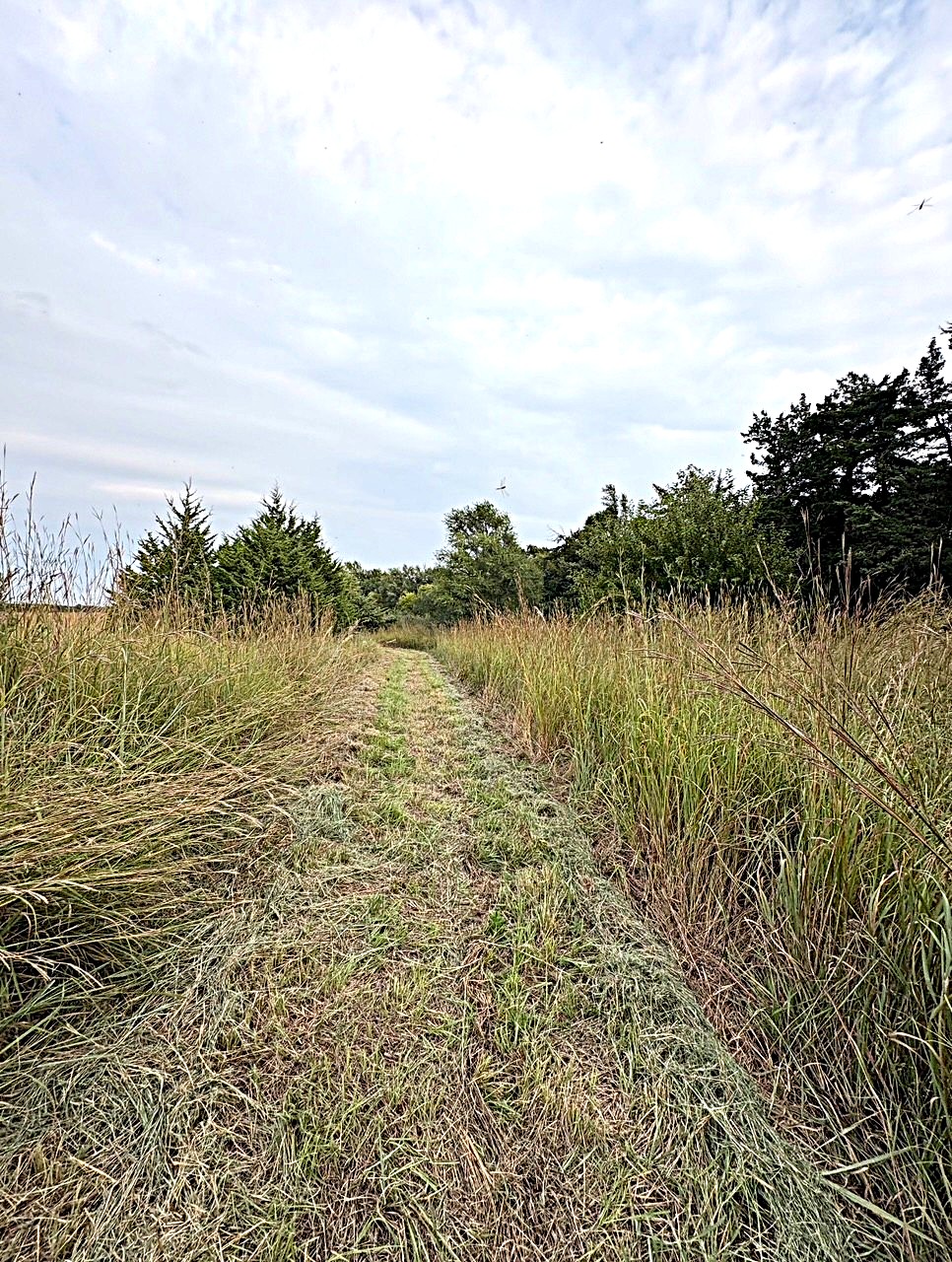 Stafford County KS Prime Hunting Property