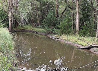 Stafford County KS Prime Hunting Property