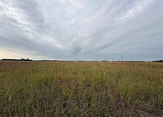 Stafford County KS Prime Hunting Property