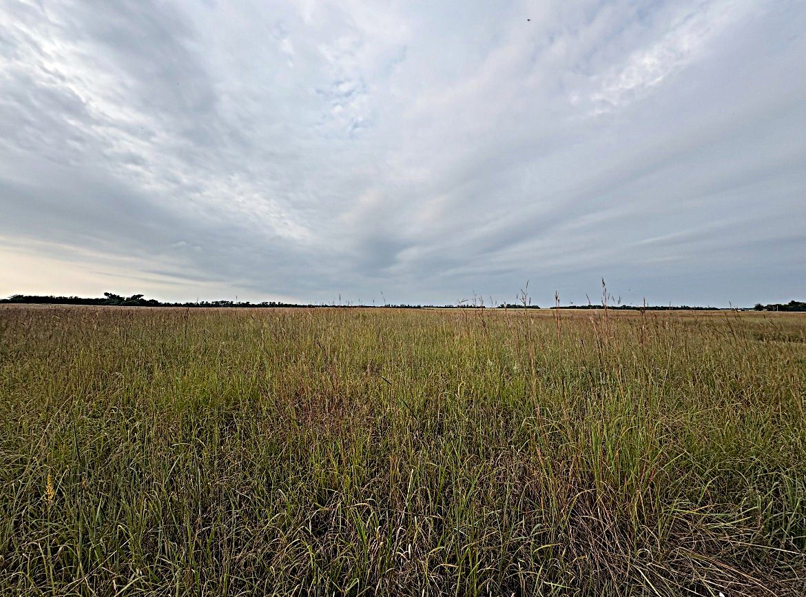 Stafford County KS Prime Hunting Property
