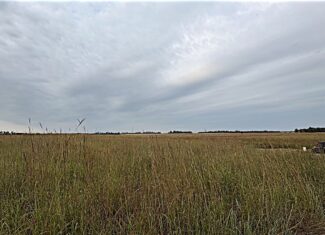 Stafford County KS Prime Hunting Property