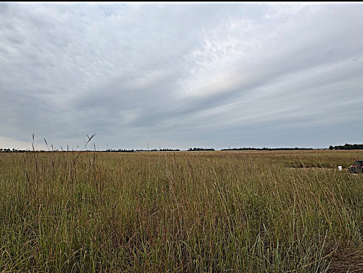 Stafford County KS Prime Hunting Property