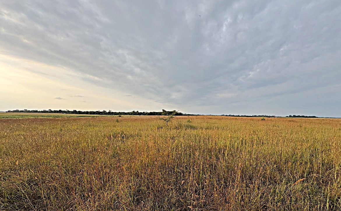 Stafford County KS Prime Hunting Property