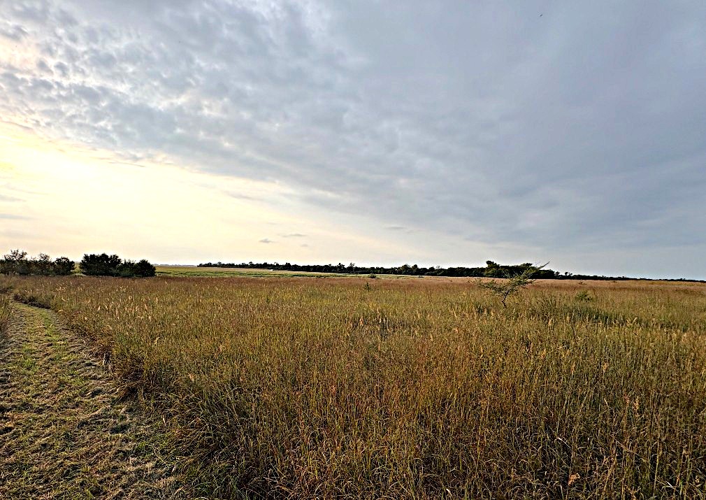 Stafford County KS Prime Hunting Property
