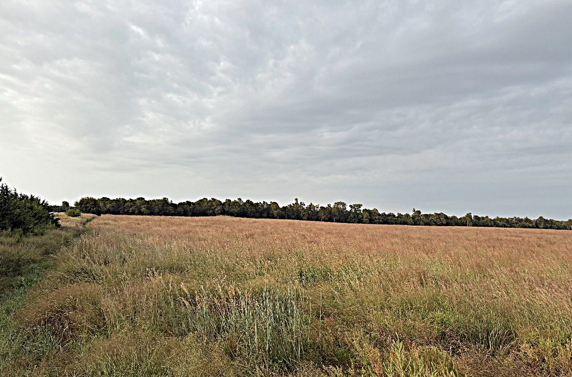 Stafford County KS Prime Hunting Property